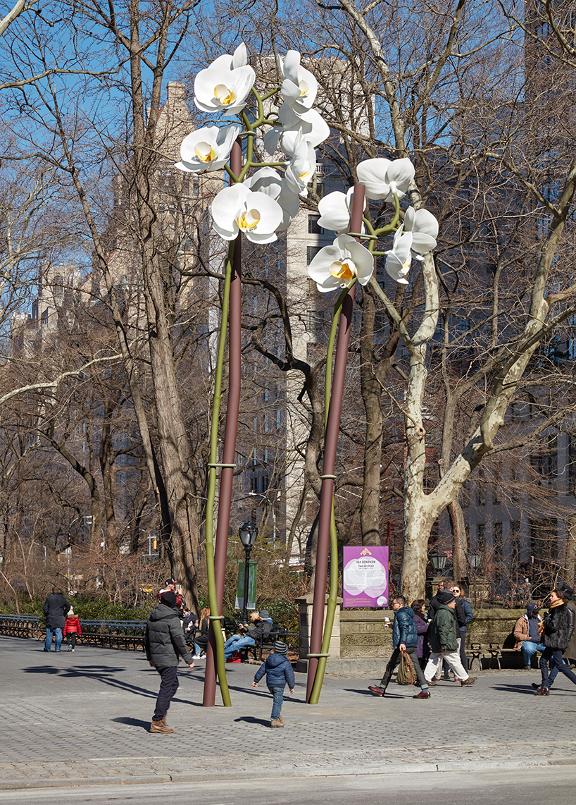 美国中心公园玉兰花景观装置