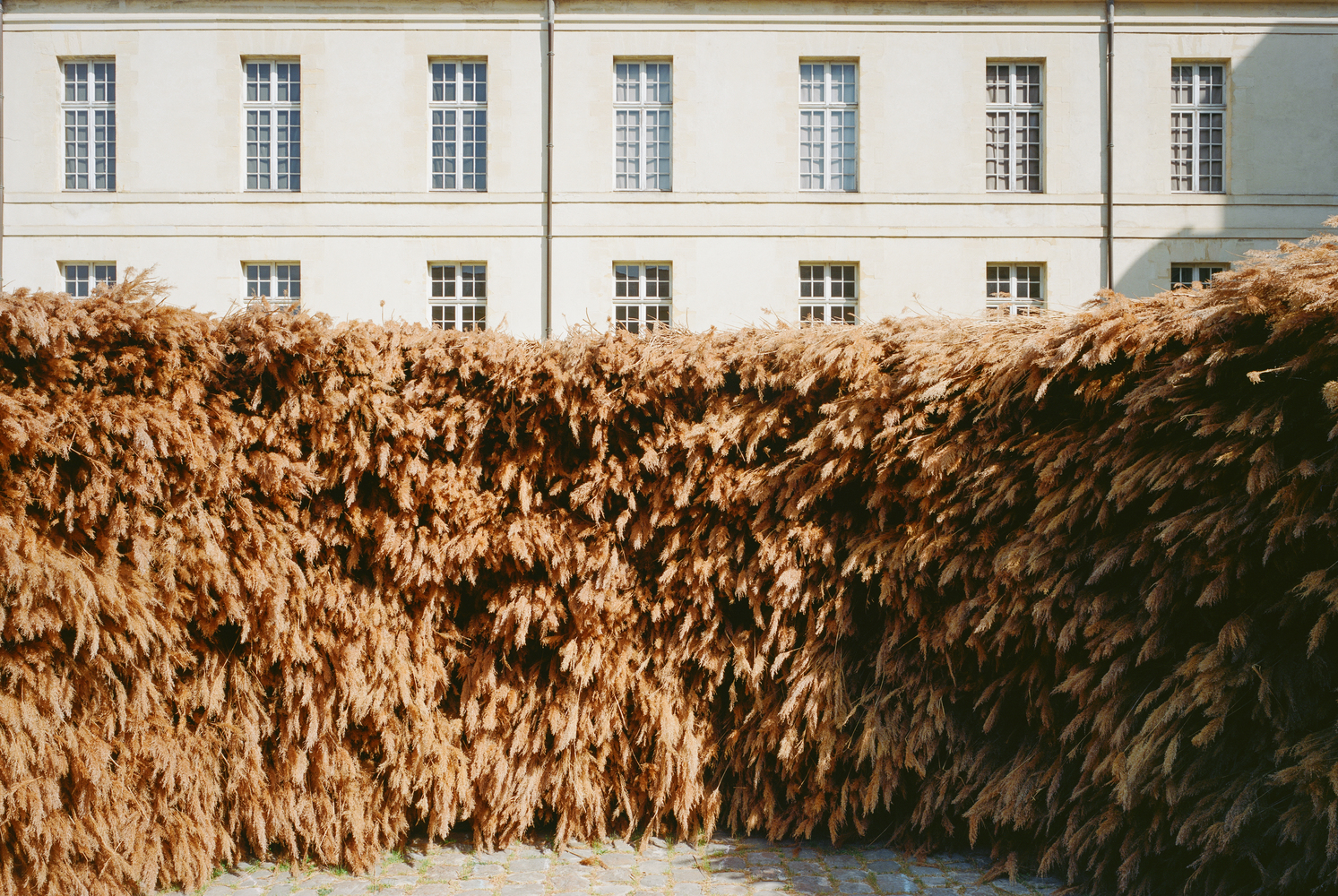 法国芦苇堆景观装置艺术
