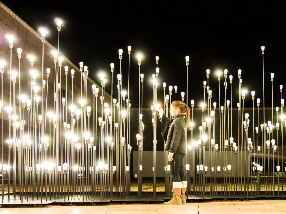 葡萄牙花茎形LED灯光装置艺术