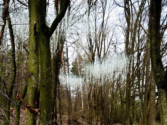 森林中的磷光电缆装置艺术