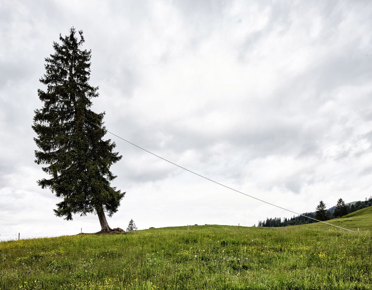 奥地利山林中的创意景观​装置艺术