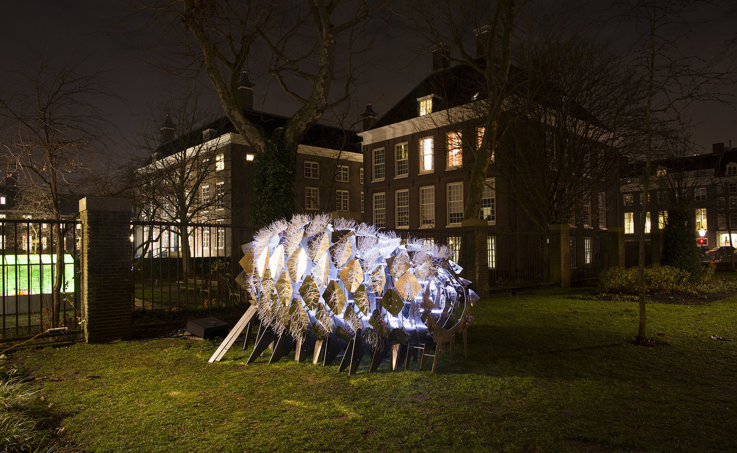 阿姆斯特丹灯光节灯光装置艺术：绽放的幻象