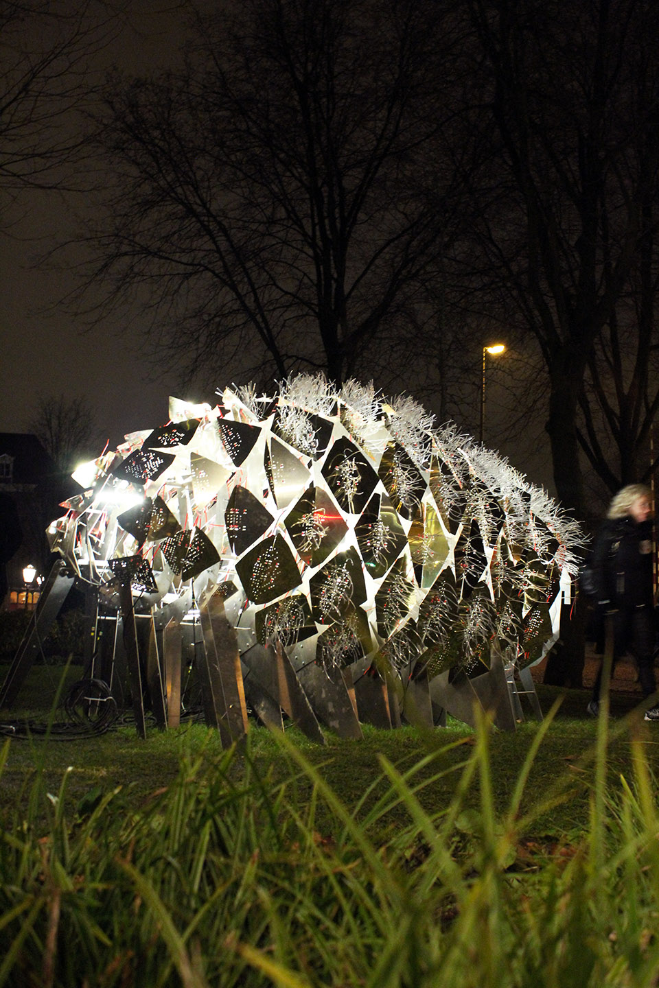 阿姆斯特丹灯光节灯光装置艺术：绽放的幻象