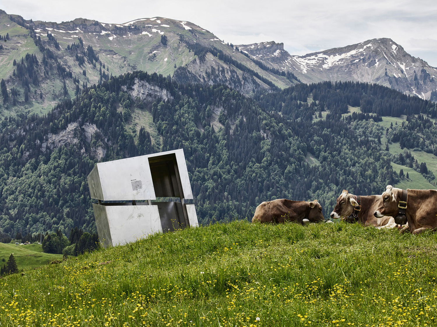 奥地利山林中的创意景观​装置艺术