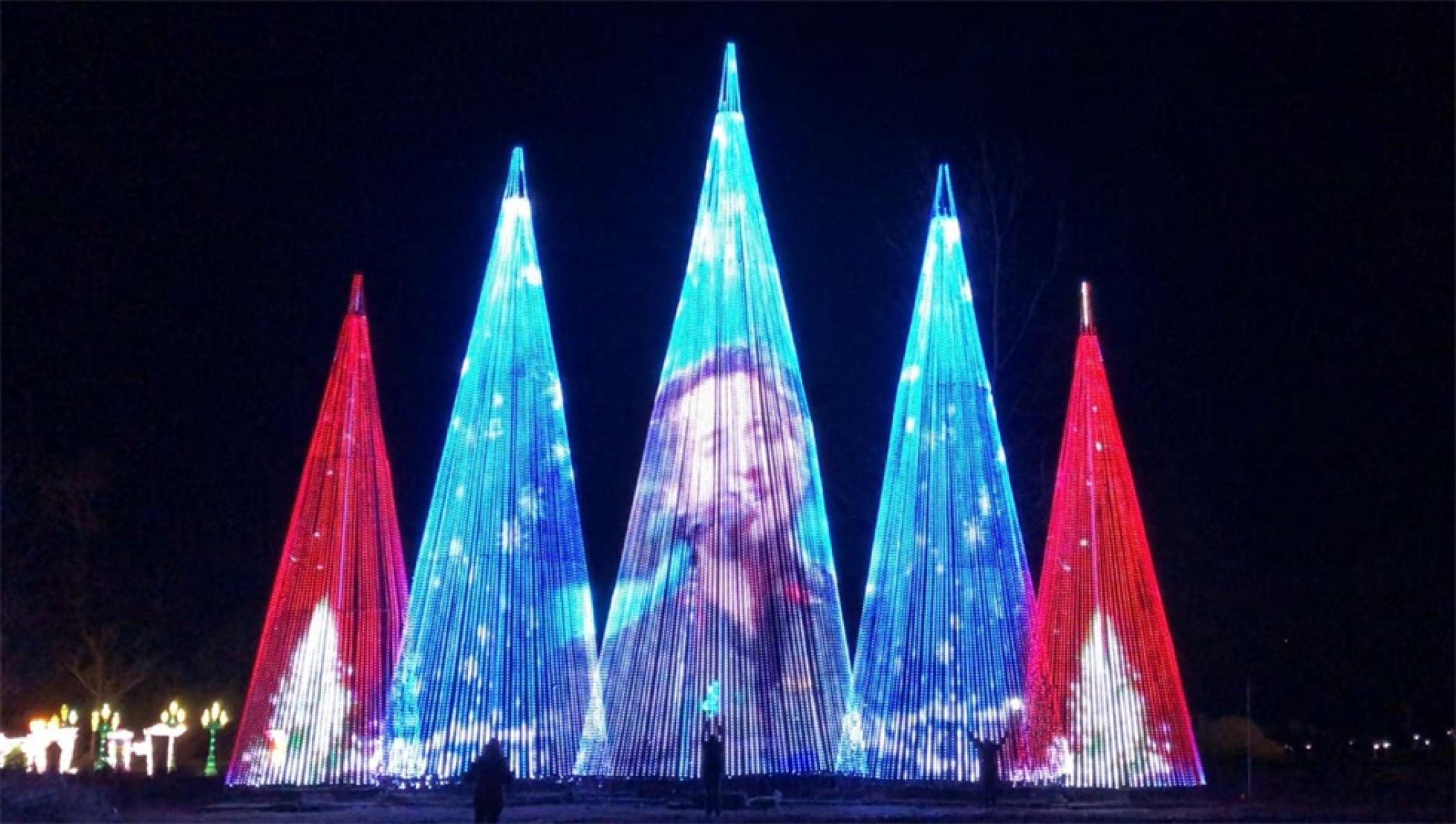 LED灯串构成的圣诞树互动装置艺术