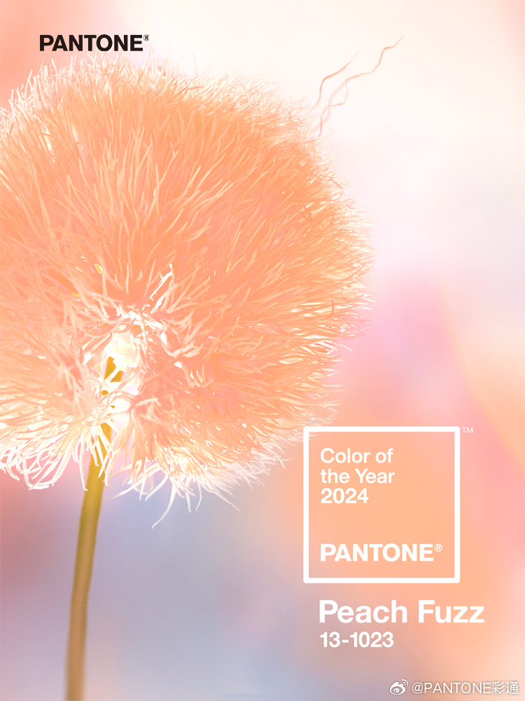 Pantone 发布 2024 年度代表色「柔和桃」